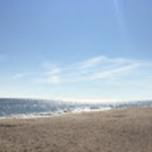 Meet your Posher, Breanna